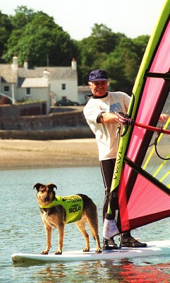 Windsurfing Dog 150797