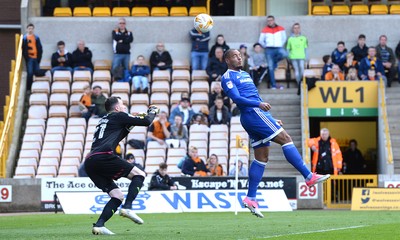 Wolverhampton Wanderers v Cardiff City 010417