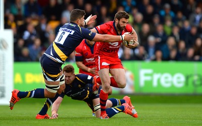 Worcester Warriors v Bristol 270515