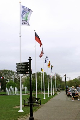 World Cup Flags 290499