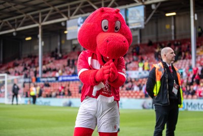260425 - Wrexham v Charlton Athletic - Sky Bet League 1 - Wrex the Dragon ahead of kick off