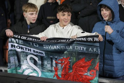 130326 - Wrexham v Swansea City - Sky Bet Championship - Swansea fans