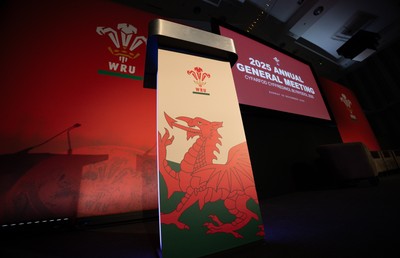 301125 - Welsh Rugby Union AGM, Vale Hotel -  A general view of the conference room ahead of the AGM