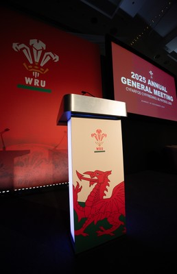 301125 - Welsh Rugby Union AGM, Vale Hotel -  A general view of the conference room ahead of the AGM