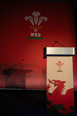 301125 - Welsh Rugby Union AGM, Vale Hotel -  A general view of the conference room ahead of the AGM