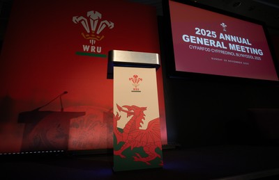 301125 - Welsh Rugby Union AGM, Vale Hotel -  A general view of the conference room ahead of the AGM