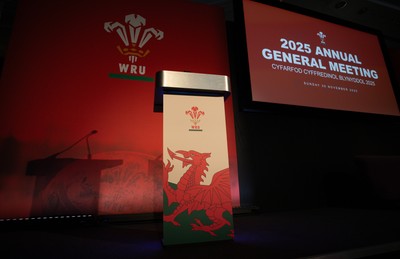 301125 - Welsh Rugby Union AGM, Vale Hotel -  A general view of the conference room ahead of the AGM