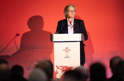 301125 - Welsh Rugby Union AGM, Vale Hotel - Welsh Rugby Union board member and Chair of the Women's Rugby Committee Amanda Bennett addresses delegates at the AGM