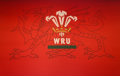 130426 - Welsh Rugby Union EGM - A general view of the President’s Lounge ahead of the Extraordinary General Meeting held at the Principality Stadium