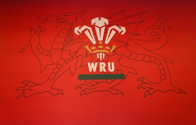 130426 - Welsh Rugby Union EGM - A general view of the President’s Lounge ahead of the Extraordinary General Meeting held at the Principality Stadium