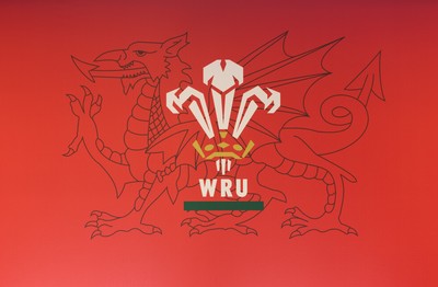 130426 - Welsh Rugby Union EGM - A general view of the President’s Lounge ahead of the Extraordinary General Meeting held at the Principality Stadium