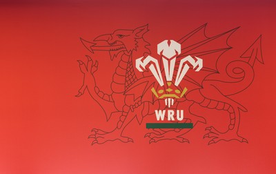 130426 - Welsh Rugby Union EGM - A general view of the President’s Lounge ahead of the Extraordinary General Meeting held at the Principality Stadium