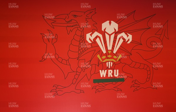 130426 - Welsh Rugby Union EGM - A general view of the President’s Lounge ahead of the Extraordinary General Meeting held at the Principality Stadium