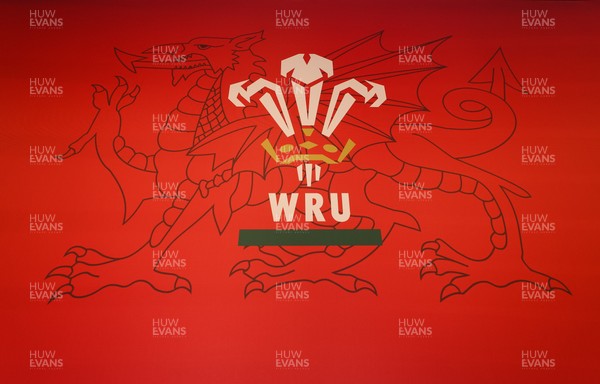 130426 - Welsh Rugby Union EGM - A general view of the President’s Lounge ahead of the Extraordinary General Meeting held at the Principality Stadium