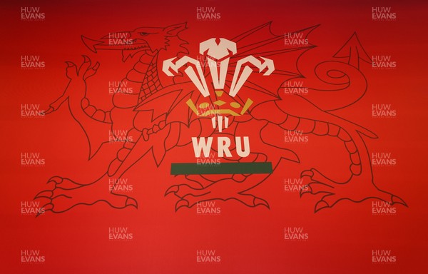 130426 - Welsh Rugby Union EGM - A general view of the President’s Lounge ahead of the Extraordinary General Meeting held at the Principality Stadium