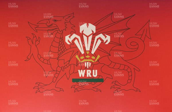 130426 - Welsh Rugby Union EGM - A general view of the President’s Lounge ahead of the Extraordinary General Meeting held at the Principality Stadium