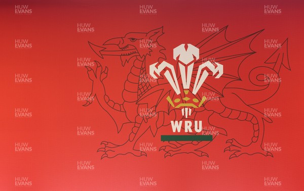 130426 - Welsh Rugby Union EGM - A general view of the President’s Lounge ahead of the Extraordinary General Meeting held at the Principality Stadium