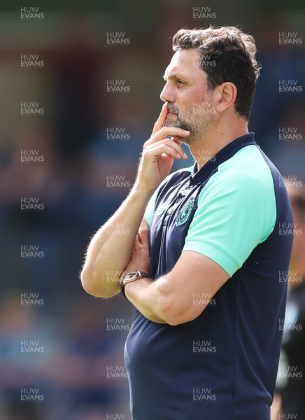 290723 - Wycombe Wanderers v Cardiff City, Pre-season Friendly - Cardiff City manager Erol Bulut during the match