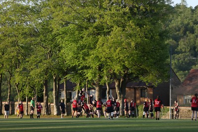 020525 - Ynysybwl RFC Women v Taffs Well Women - Admiral Women's National League Central - 