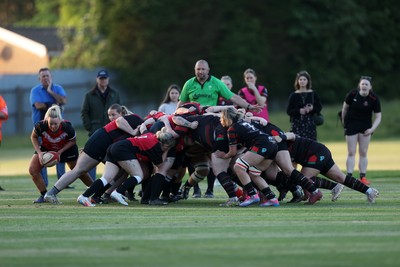 020525 - Ynysybwl RFC Women v Taffs Well Women - Admiral Women's National League Central - Scrum
