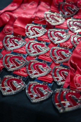 111225 - Ysgol Gymraeg Bro Morgannwg v Ysgol Gyfun Gymraeg Bro Myrddin - U18 Schools and Colleges Champions of Champions - Second place medals displayed on a table