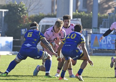 291125 - Zebre Parma v Cardiff Rugby - United Rugby Championship - Josh McNally of Cardiff 