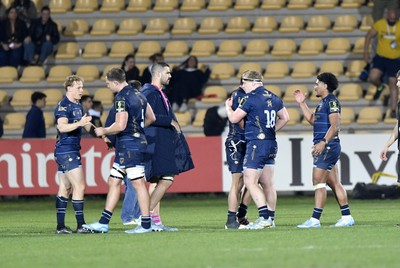 110426 - Zebre Parma v Dragons RFC - EPCR Challenge Cup Quarter Final - Dragons players celebrates after the match