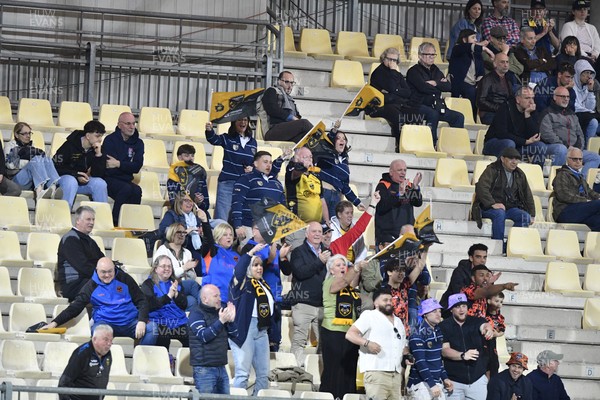 110426 - Zebre Parma v Dragons RFC - EPCR Challenge Cup Quarter Final - Dragons fans