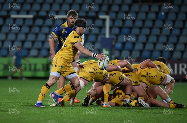 240426 - Zebre Parma v Dragons RFC - United Rugby Championship - Rhodri Williams of Dragons kicks