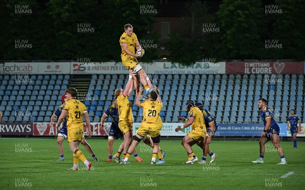 240426 - Zebre Parma v Dragons RFC - United Rugby Championship - Ben Carter of Dragons wins the ball