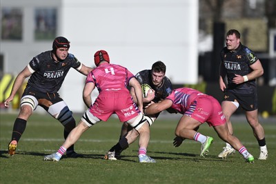 110126 - Zebre Parma v Ospreys - EPCR Challenge Cup - James Ratti of Ospreys is tackled by Matteo Canali of Zebre (4)