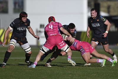 110126 - Zebre Parma v Ospreys - EPCR Challenge Cup - James Ratti of Ospreys is tackled by Matteo Canali of Zebre (4)