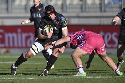 110126 - Zebre Parma v Ospreys - EPCR Challenge Cup - James Fender of Ospreys is tackled