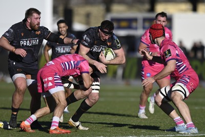 110126 - Zebre Parma v Ospreys - EPCR Challenge Cup - Ryan Smith of Ospreys is tackled