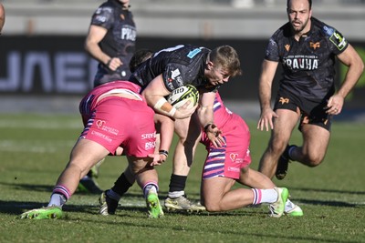 110126 - Zebre Parma v Ospreys - EPCR Challenge Cup - Keiran Williams of Ospreys is tackled