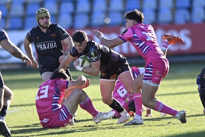 110126 - Zebre Parma v Ospreys - EPCR Challenge Cup - Jack Walsh of Ospreys is tackled by Giulio Bertaccini and Mirko Belloni of Zebre 