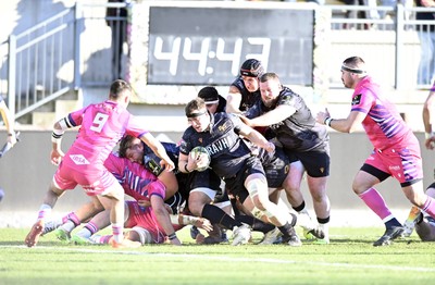 110126 - Zebre Parma v Ospreys - EPCR Challenge Cup - Morgan Morse of Ospreys 