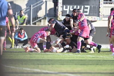 110126 - Zebre Parma v Ospreys - EPCR Challenge Cup - Morgan Morse of Ospreys 