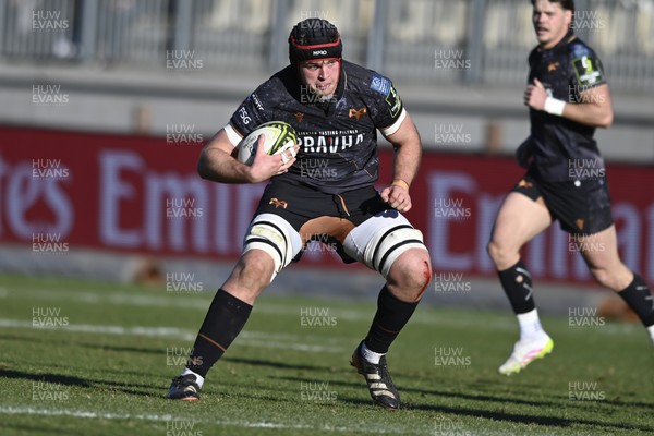 110126 - Zebre Parma v Ospreys - EPCR Challenge Cup - James Fender of Ospreys 