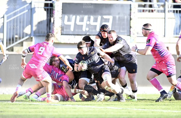 110126 - Zebre Parma v Ospreys - EPCR Challenge Cup - Morgan Morse of Ospreys 