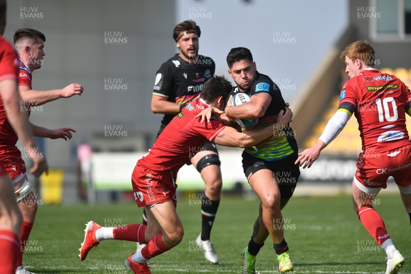 260322 - Zebre Parma v Scarlets - United Rugby Championship - Renato Giammarioli of Zebre looks to break the tackle to take on Rhys Patchell of Scarlets