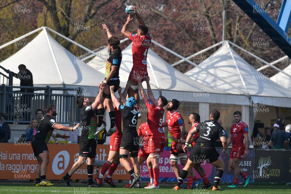 260322 - Zebre Parma v Scarlets - United Rugby Championship - Sam Lousi of Scarlets takes line out ball 