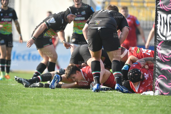 260322 - Zebre Parma v Scarlets - United Rugby Championship - Tomas Lezana of Scarlets scores a try
