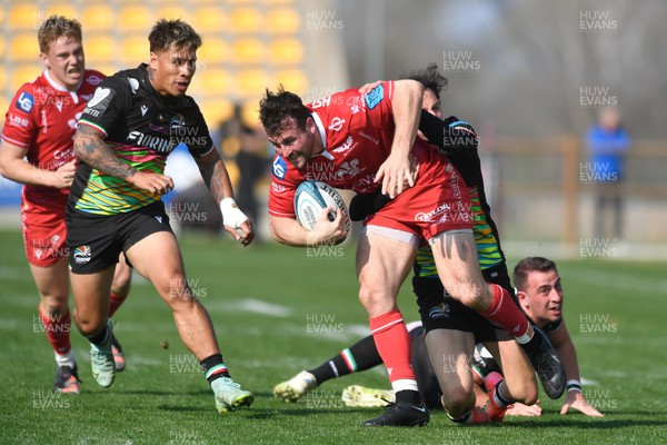 260322 - Zebre Parma v Scarlets - United Rugby Championship - Ryan Conbeer of Scarlets is tackled