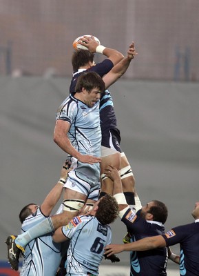 Zebre v Blues 251112