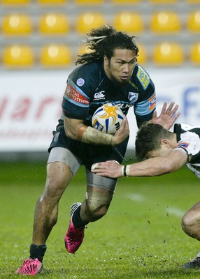 Zebre v Cardiff Blues 010314