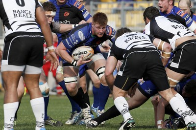 Zebre v Dragons 290314