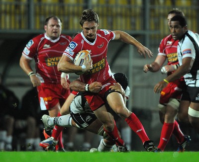 Zebre v Scarlets 251013